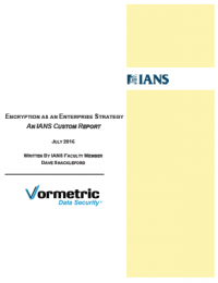 Encryption as an Enterprise Strategy: an Ians Custom Report