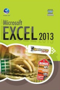 Microsoft excel 2013