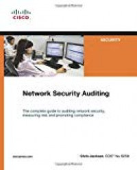 Network security auditing