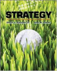 Strategy: 2008-2009