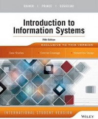 Introduction to information systems